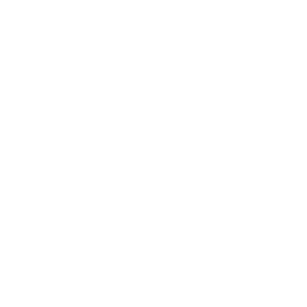 Camara Española
